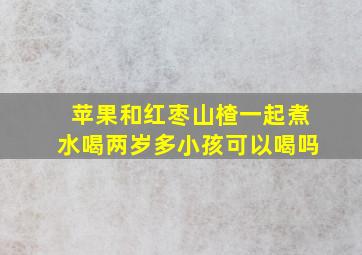 苹果和红枣山楂一起煮水喝两岁多小孩可以喝吗