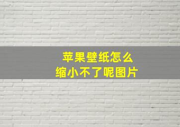 苹果壁纸怎么缩小不了呢图片