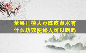 苹果山楂大枣陈皮煮水有什么功效便秘人可以喝吗