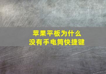 苹果平板为什么没有手电筒快捷键