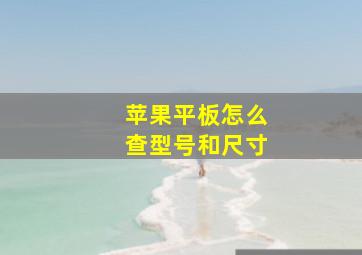 苹果平板怎么查型号和尺寸