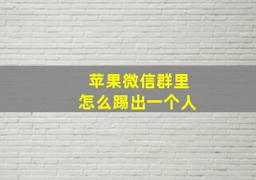 苹果微信群里怎么踢出一个人