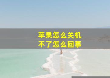 苹果怎么关机不了怎么回事