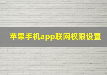 苹果手机app联网权限设置