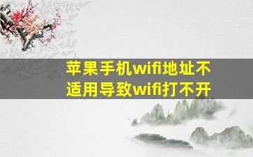 苹果手机wifi地址不适用导致wifi打不开