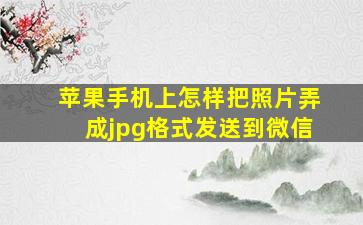 苹果手机上怎样把照片弄成jpg格式发送到微信