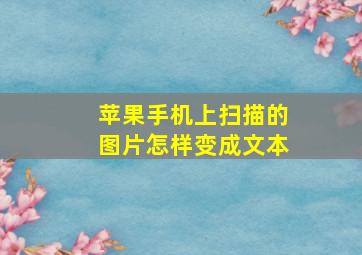 苹果手机上扫描的图片怎样变成文本