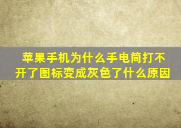 苹果手机为什么手电筒打不开了图标变成灰色了什么原因