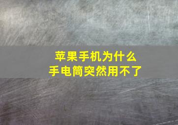 苹果手机为什么手电筒突然用不了