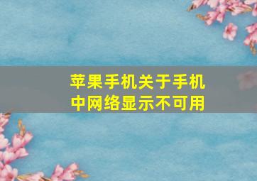 苹果手机关于手机中网络显示不可用