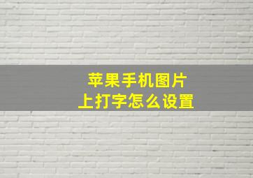 苹果手机图片上打字怎么设置