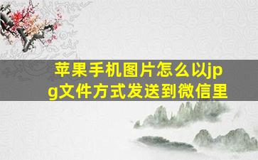 苹果手机图片怎么以jpg文件方式发送到微信里