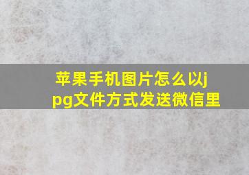 苹果手机图片怎么以jpg文件方式发送微信里