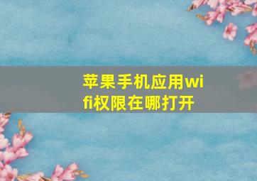 苹果手机应用wifi权限在哪打开