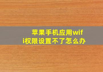 苹果手机应用wifi权限设置不了怎么办