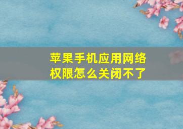 苹果手机应用网络权限怎么关闭不了