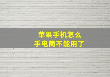 苹果手机怎么手电筒不能用了