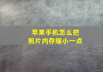 苹果手机怎么把照片内存缩小一点