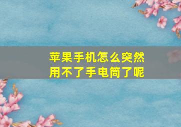 苹果手机怎么突然用不了手电筒了呢