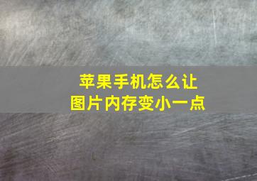 苹果手机怎么让图片内存变小一点