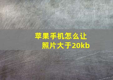 苹果手机怎么让照片大于20kb