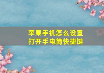 苹果手机怎么设置打开手电筒快捷键