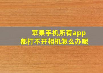 苹果手机所有app都打不开相机怎么办呢