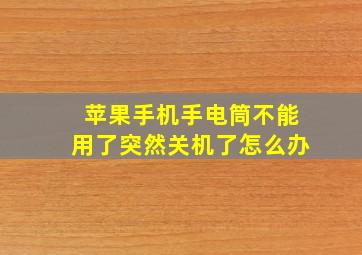 苹果手机手电筒不能用了突然关机了怎么办