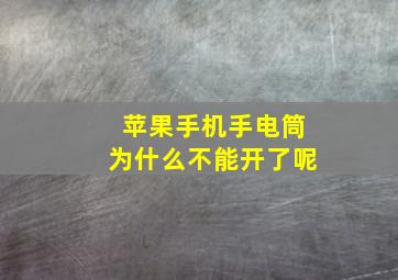 苹果手机手电筒为什么不能开了呢