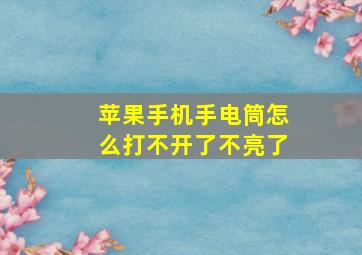 苹果手机手电筒怎么打不开了不亮了