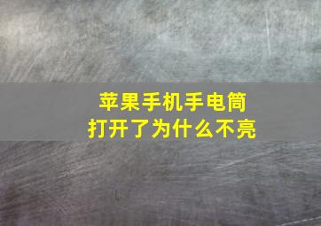 苹果手机手电筒打开了为什么不亮