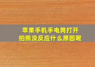 苹果手机手电筒打开拍照没反应什么原因呢