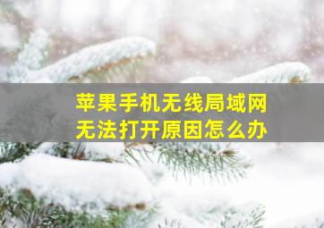 苹果手机无线局域网无法打开原因怎么办