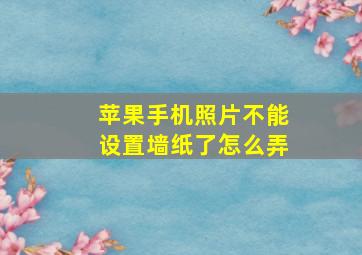 苹果手机照片不能设置墙纸了怎么弄