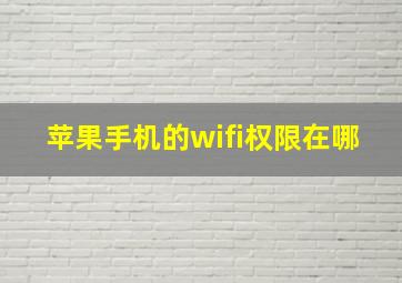 苹果手机的wifi权限在哪