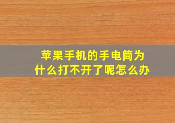 苹果手机的手电筒为什么打不开了呢怎么办