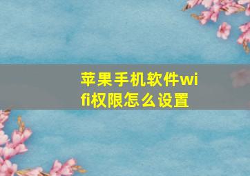 苹果手机软件wifi权限怎么设置