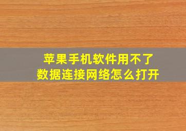 苹果手机软件用不了数据连接网络怎么打开