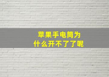 苹果手电筒为什么开不了了呢