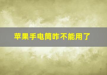 苹果手电筒咋不能用了