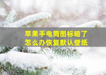 苹果手电筒图标暗了怎么办恢复默认壁纸