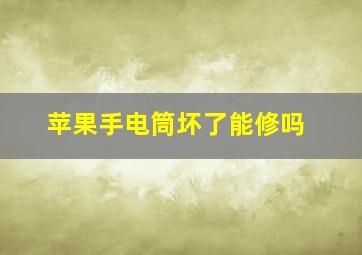 苹果手电筒坏了能修吗