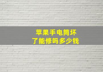 苹果手电筒坏了能修吗多少钱