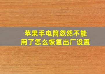 苹果手电筒忽然不能用了怎么恢复出厂设置