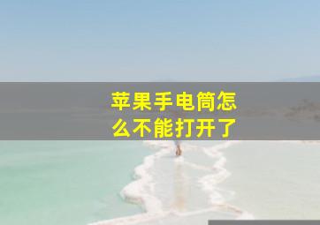 苹果手电筒怎么不能打开了