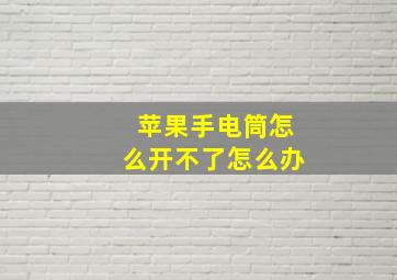 苹果手电筒怎么开不了怎么办