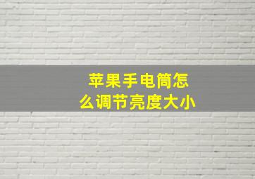 苹果手电筒怎么调节亮度大小