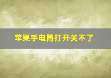 苹果手电筒打开关不了