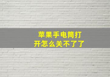 苹果手电筒打开怎么关不了了