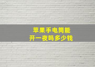 苹果手电筒能开一夜吗多少钱